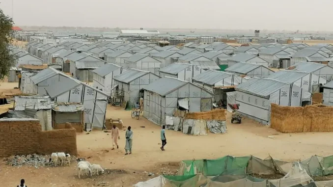 Niger Denies Poor Condition At IDP Camps, Plans Skills Acquisition Centre