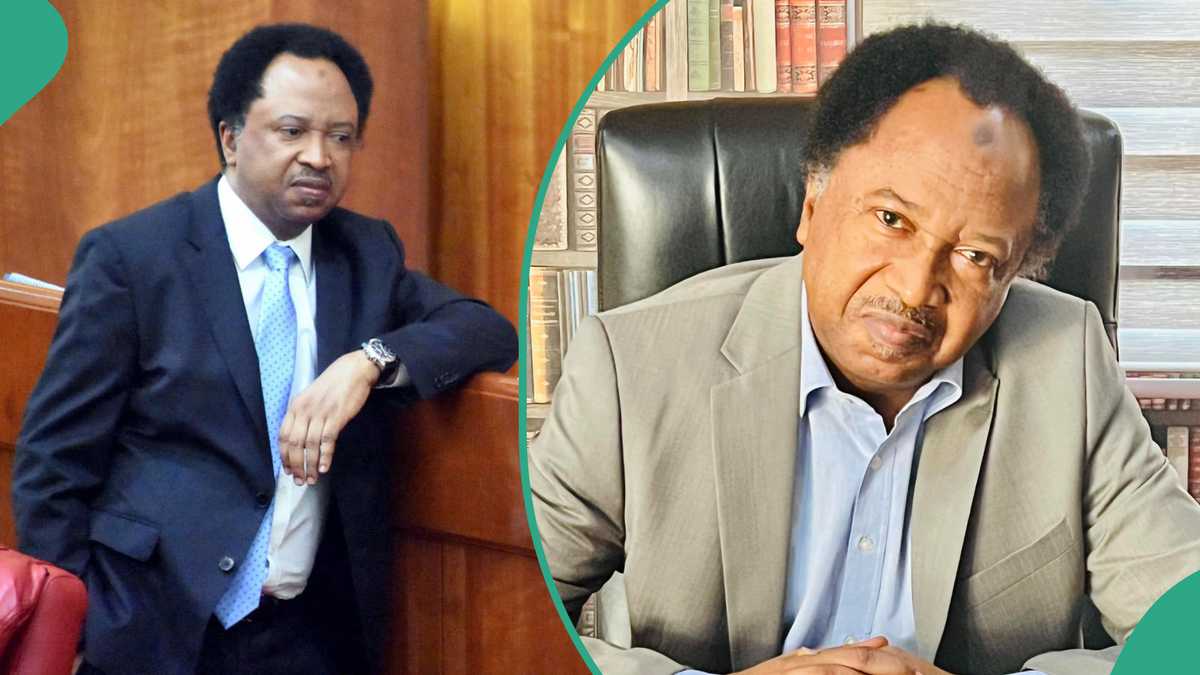 “I Got N13.5 Million”: Shehu Sani Reveals Monthly Earnings of Senators in Trending Interview