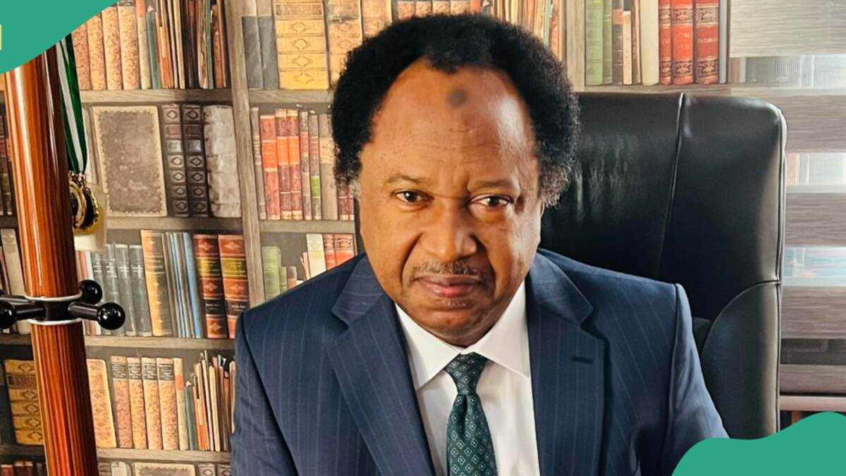 “Now Vindicated”: Shehu Sani Reacts as Kano Senator Discloses Lawmakers Take Home N21m Monthly