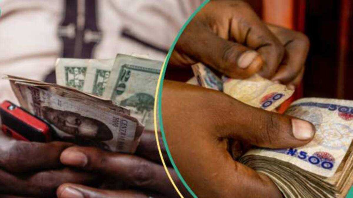 Naira Records Massive Gains Against Dollar in Official Market as Traders Quote New Rates