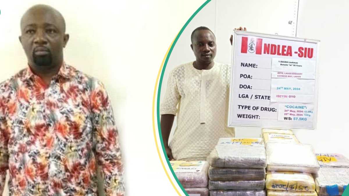 3 Notorious Drug Kingpins, 16 Others Bag 302 Years Jail Term