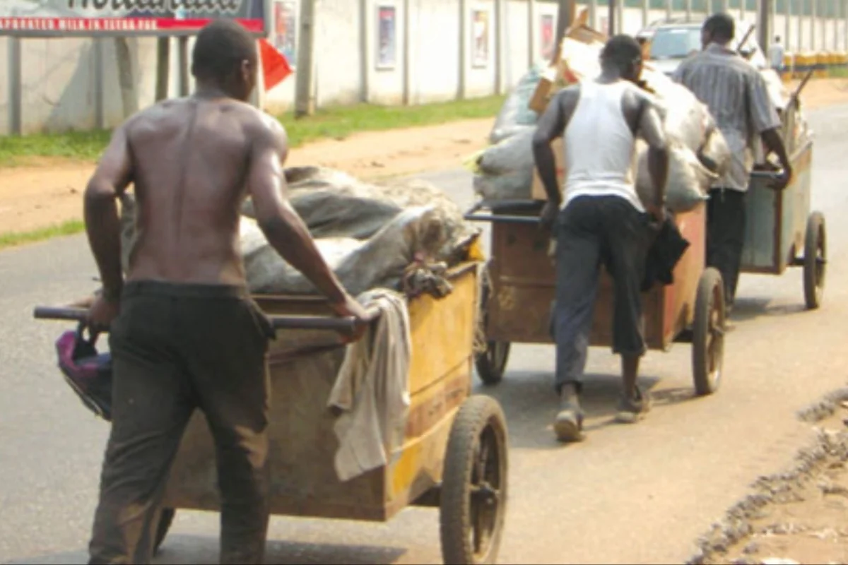 Adamawa bans scavenging