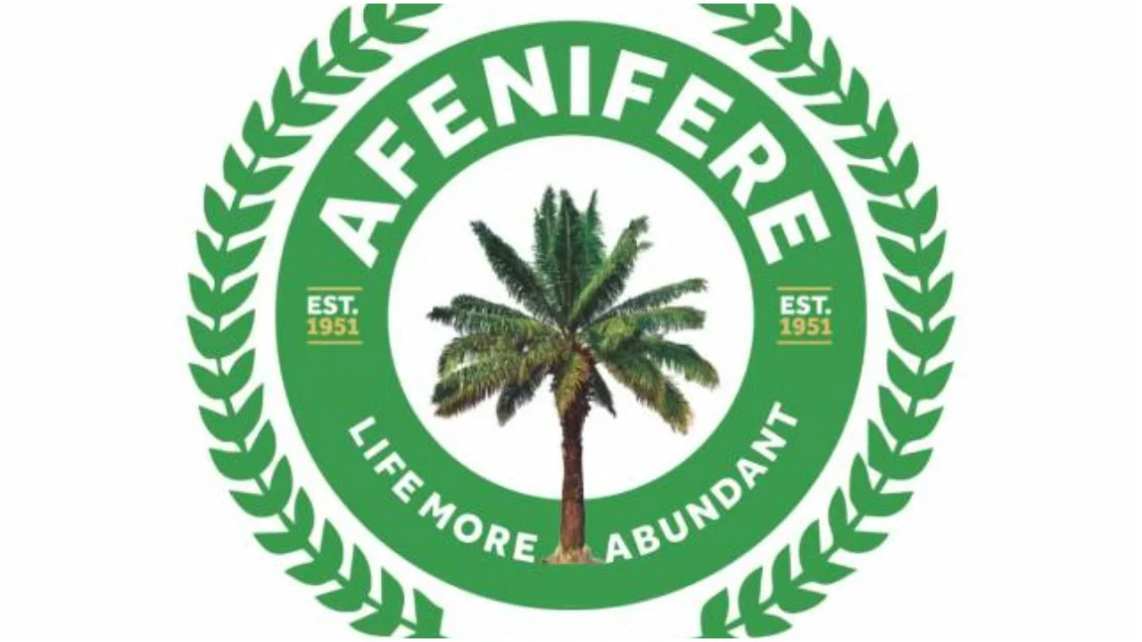 Afenifere condemns calls for military coup in Nigeria