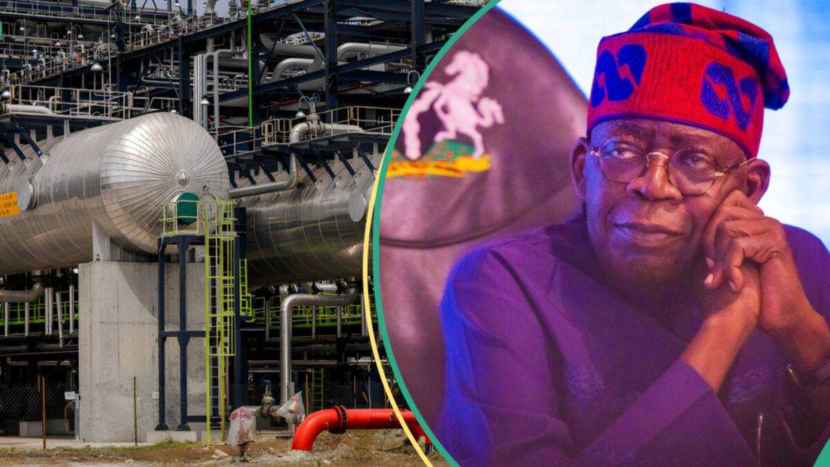 After Dangote Refinery, Foreign Investors Give Condition to Sponsor 20 Others in Nigeria