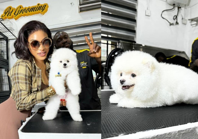 Alleged Car Debt: Tonto Dikeh excited as she shows off her new dog worth over N6million