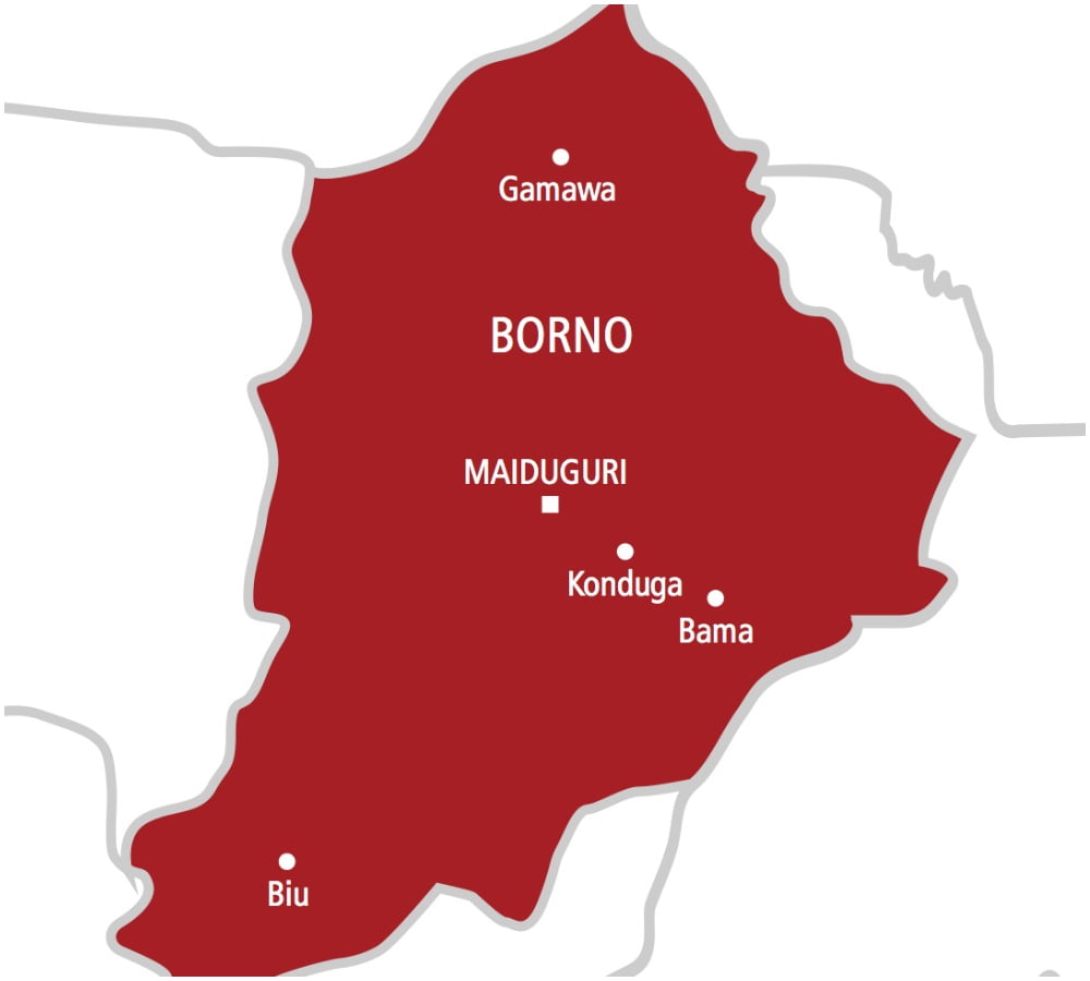 BREAKING: Borno commissioner found dead in his room