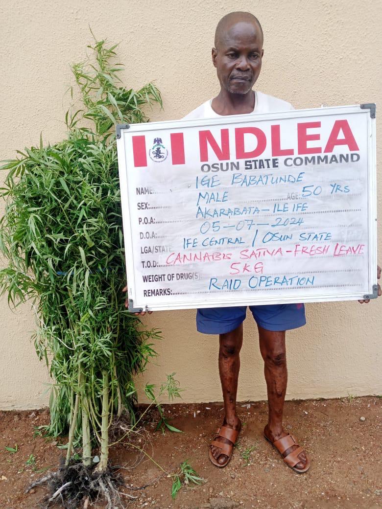 Businessman excretes 88 wraps of cocaine as NDLEA.