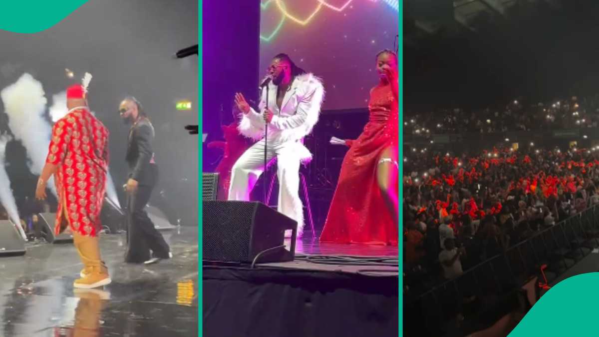 Clips from Flavour's concert at OVO Wembley goes viral as Bright Chimezie, Chike, Phyno all attend