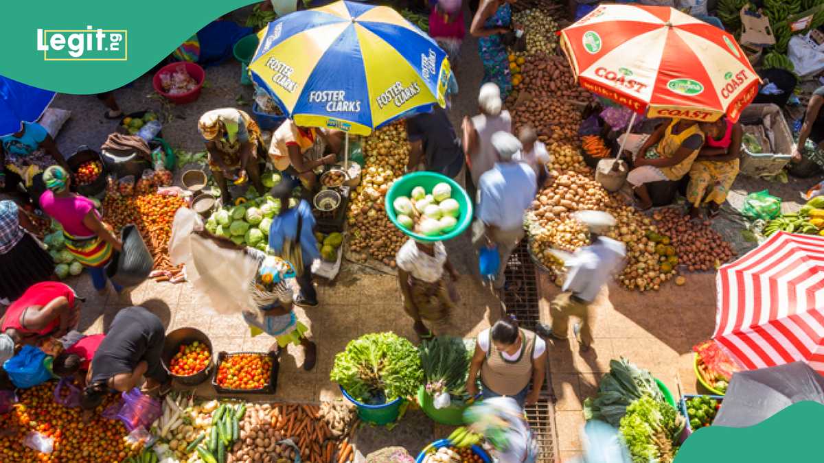 Dealers Quote New Prices For Garri, Potato, Other Food Items, Report Shows Cheapest States to Buy