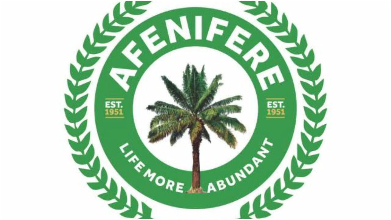 Federal Gov’t Needs To Do More About Insecurity — Afenifere  