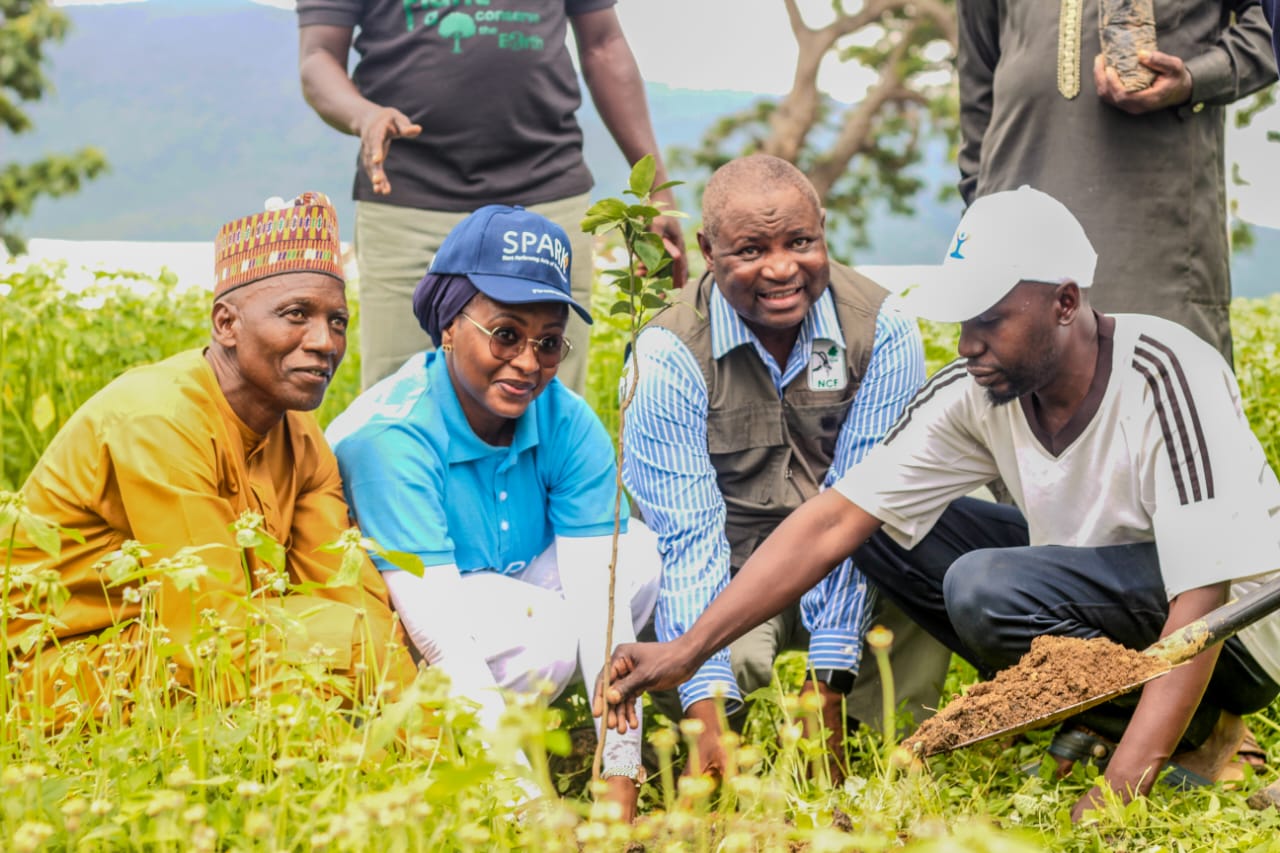 First Bank, NCF Extend Tree Planting To FCT