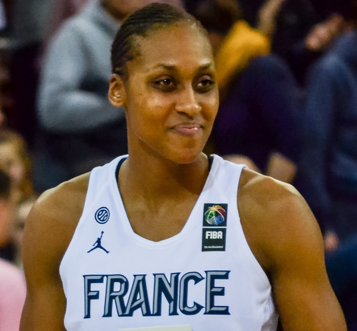 Basketball: French All-Time Leading Scorer Gruda Retires at 37