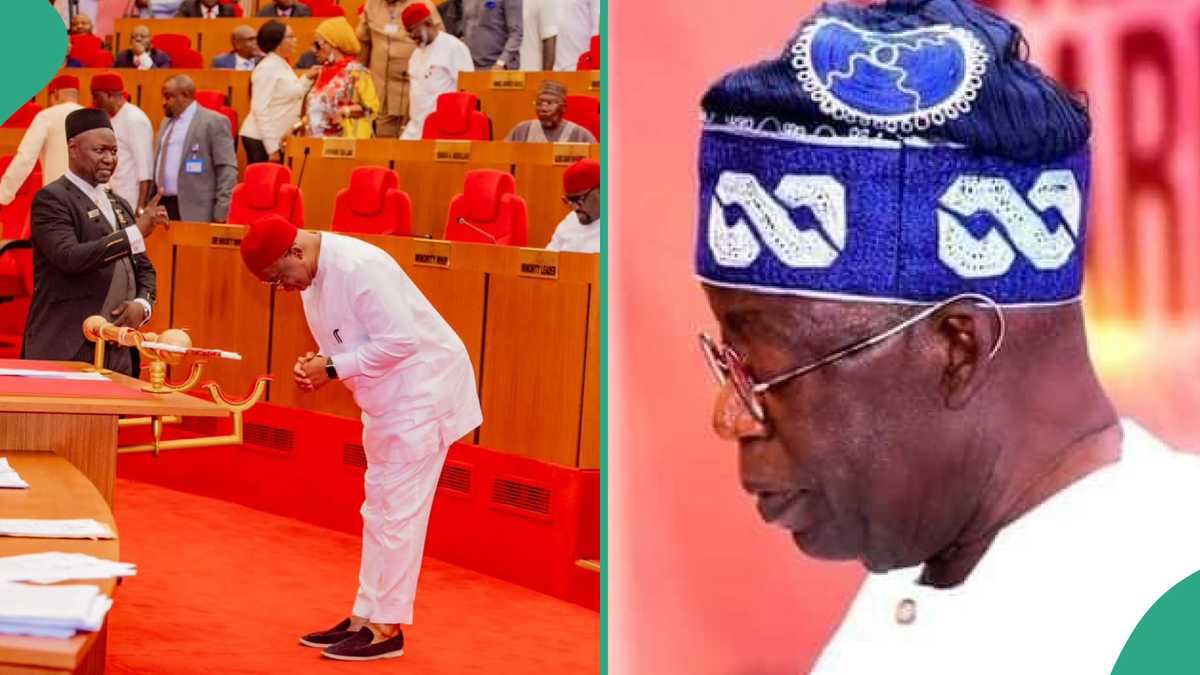 How 99 Senators Get N2bn Every Month From Tinubu's Govt