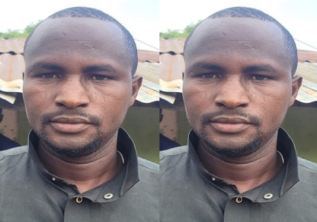 I Earn N7m Annually From Growing Tomato, Pepper — Gombe Farmer reveals