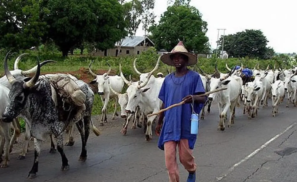 Ogun Govt warns herdsmen against encroachment on forest reserves