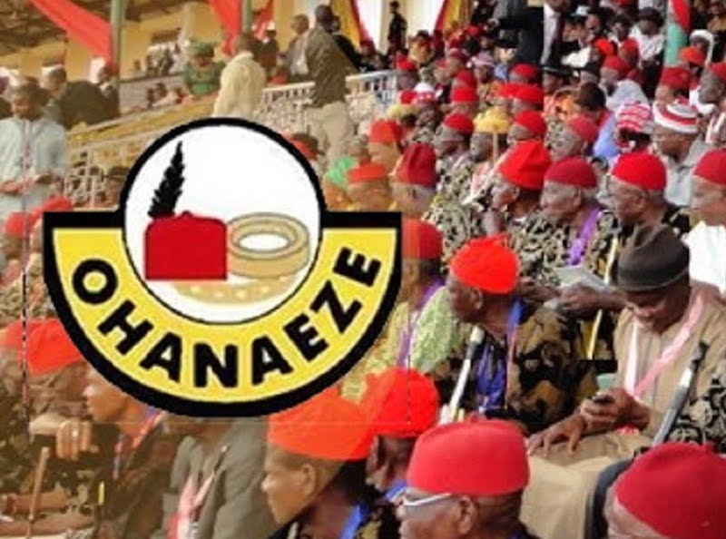 Ohaneze addresses alleged leadership tussle to replace Iwuanyanwu