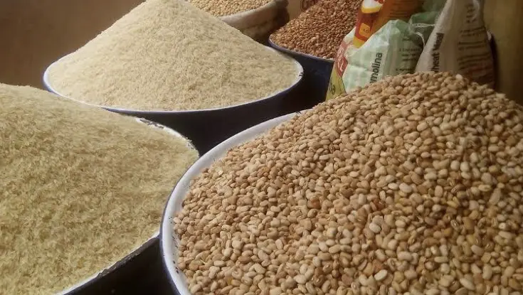 Prices of garri, tomatoes, others drop in Anambra, Ebonyi, Enugu — Survey