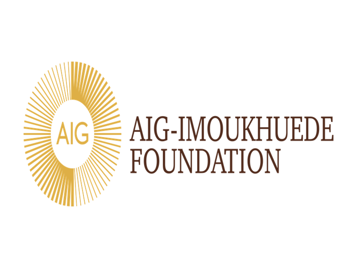 The Aig-Imoukhuede Foundation Announces 2024 AIG Scholar