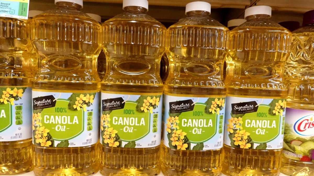 China to launch anti-dumping probes into Canadian canola, chemicals