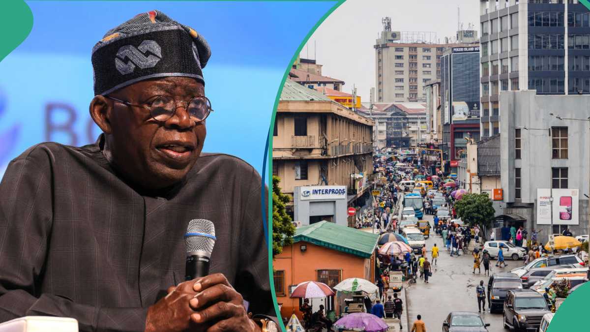 Top 10 Fastest Growing Main Sectors Under President Tinubu in 2024