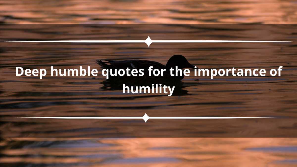 80 deep humble quotes for the importance of humility