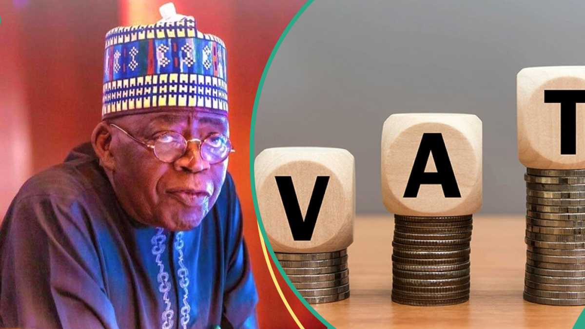 Tinubu's Tax Committee Proposes VAT Hike on Non-essential Items, Gives Strong Reasons