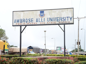 Ambrose Alli varsity sacks all ad-hoc, casual workers