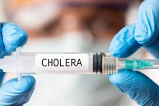 Adamawa confirms  12 deaths from cholera outbreak