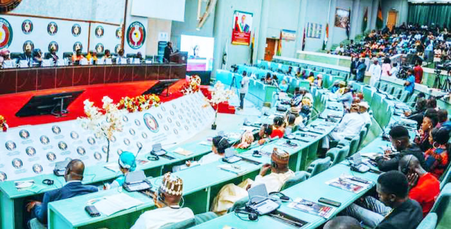 Affordable Healthcare Critical To Growth Of ECOWAS Citizens – MPs