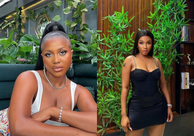 BBNaija S9: Mercy Eke struggled to give content during All-Stars edition – Wanni opines