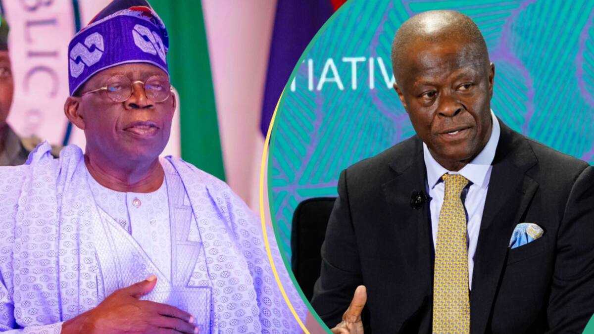 BREAKING: Amid Hardship, Tinubu Told to Dismiss “Virtually All" His Cabinet, Details Surface