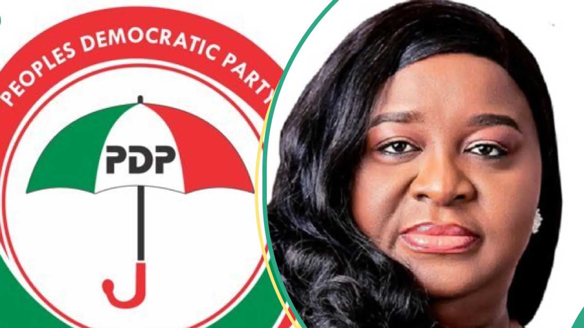 BREAKING: PDP Suspends Local Election Campaign, Gives Reasons