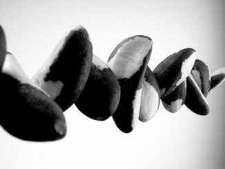 Eating Brazil nuts daily may improve inflammation, gut health