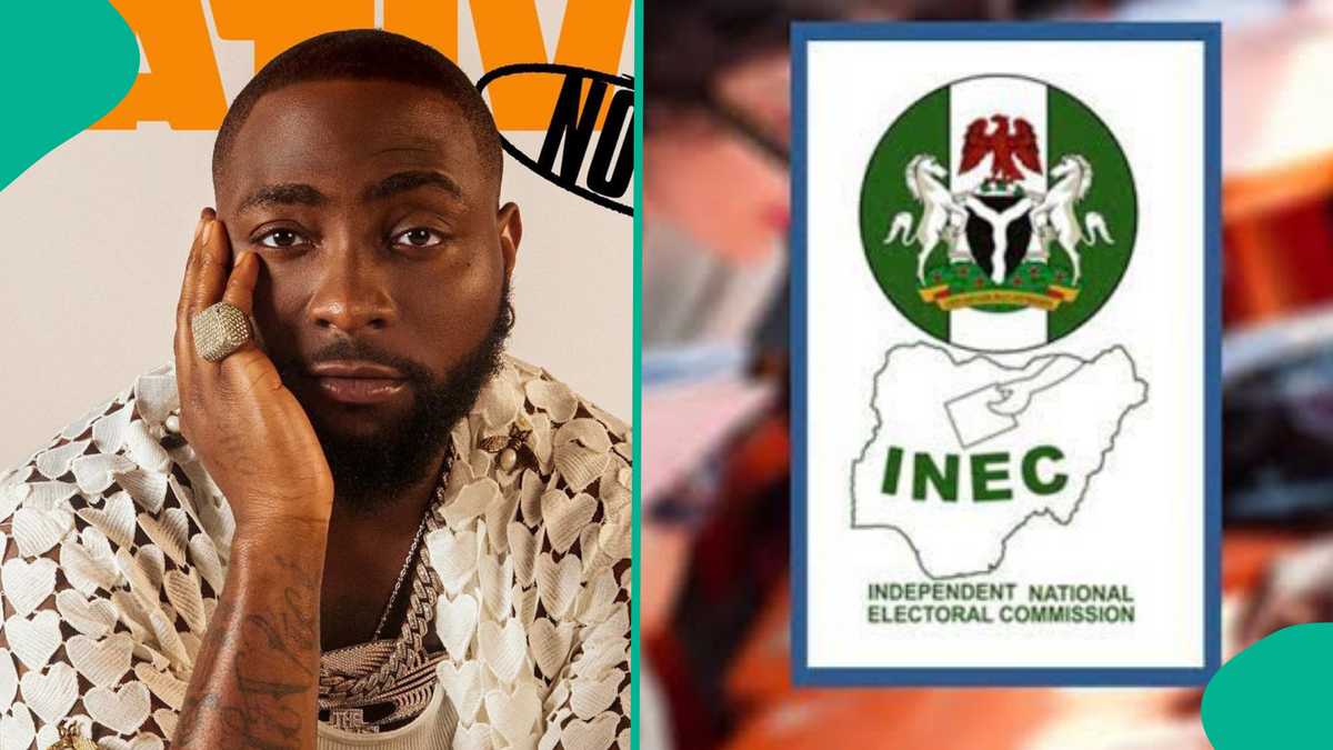 Edo 2024: Davido Triggers Backlash With Rants Over Vote Buying, “When Our Mumu Go Do?”