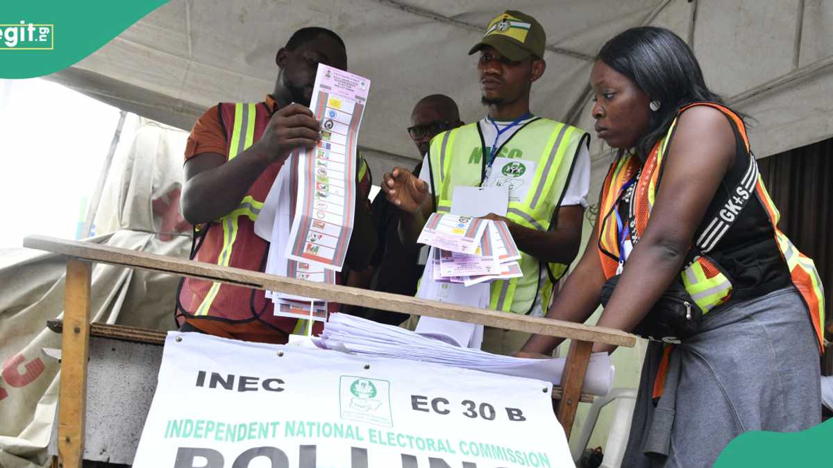 Explainer: What Do You Need to Vote In Edo Governorship Election