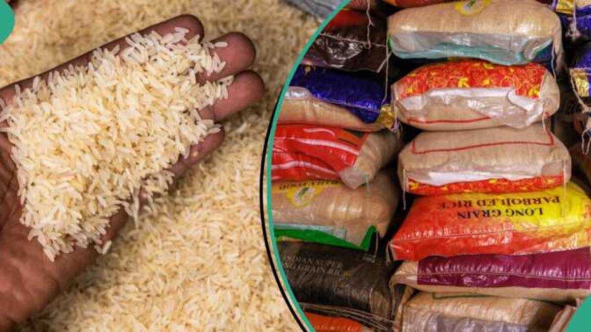 FG Begins Sale of 50kg Bag of Rice For N40k, Gives Conditions For Nigerians to Buy