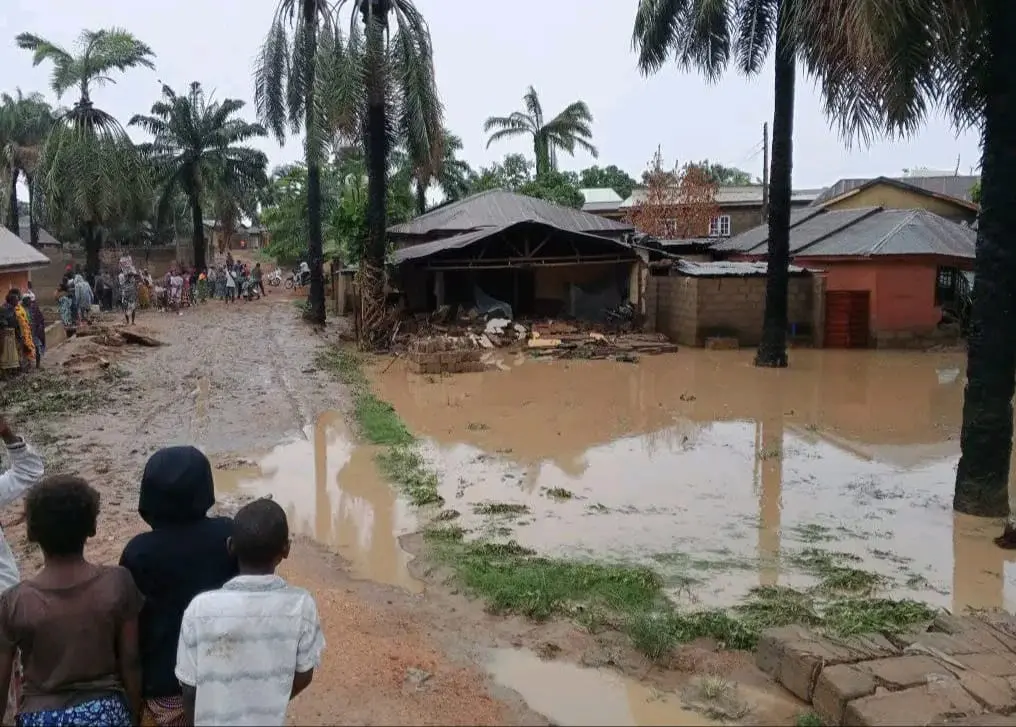 Flood claims 20 lives in Yobe, displaces 3,000