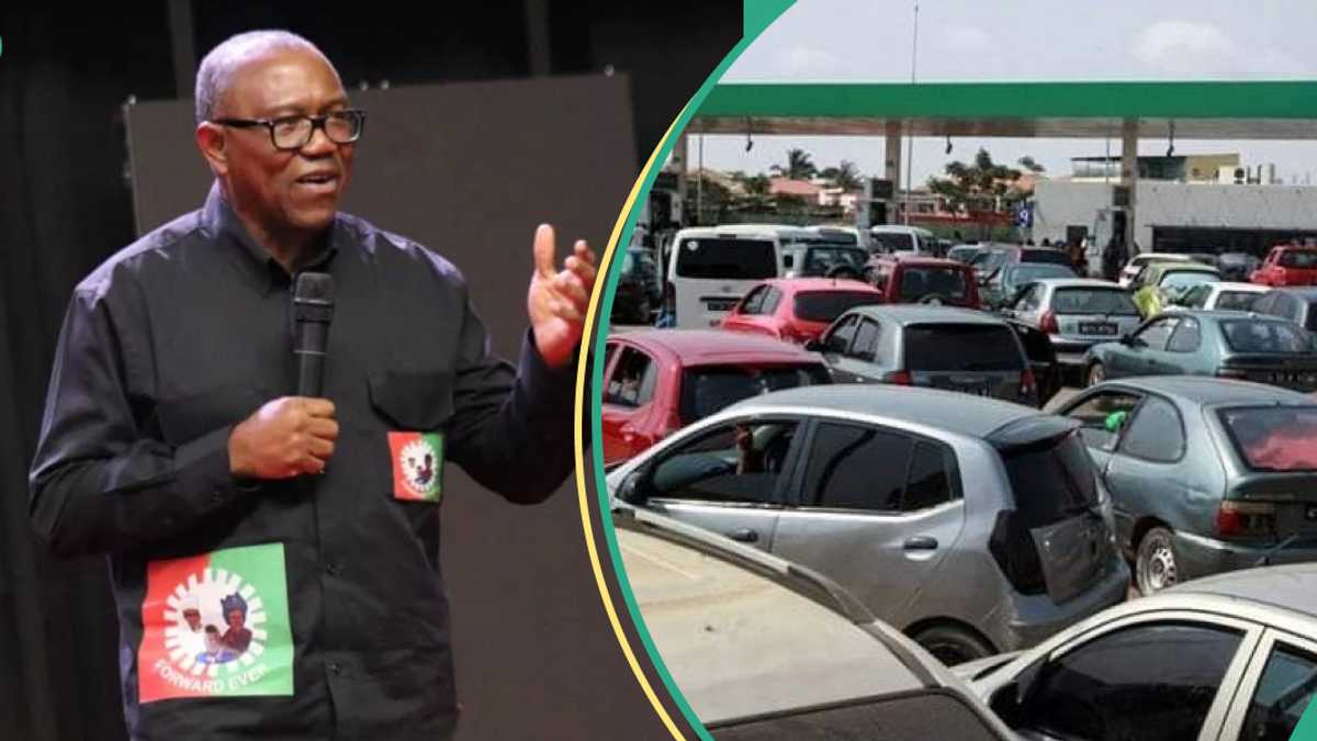 Fuel Scarcity: Peter Obi Blasts NNPC, "Further Proof of Administration's Gross Incompetence"