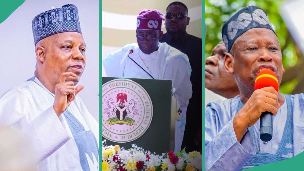 "Ganduje Is Going": Ayodele Prophesies War Between Tinubu, Shettima, Akpabio