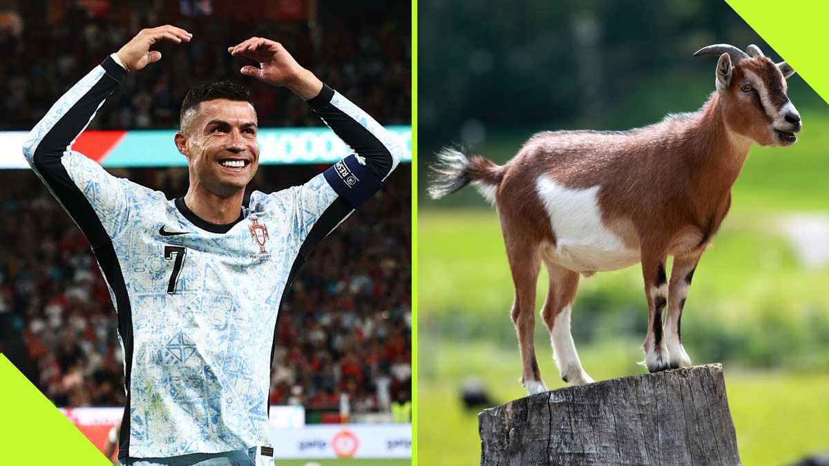 Guinness World Records Appear to Crown Cristiano Ronaldo As GOAT After 900 Career Goal