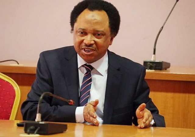 “Heavy fine should be imposed on citizens who collected PVC but refused to vote” — Shehu Sani