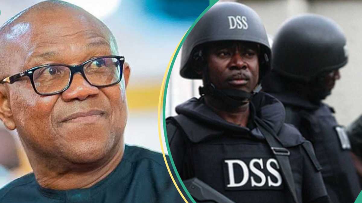 JUST IN: Aide Debunks DSS' Alleged Arrest of Peter Obi, Wife