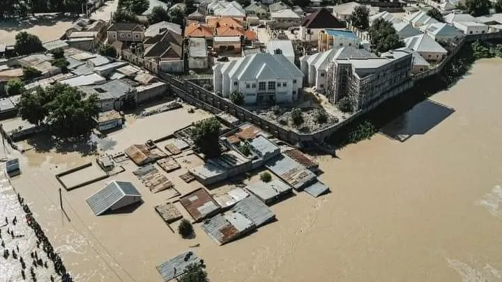 Borno Floods