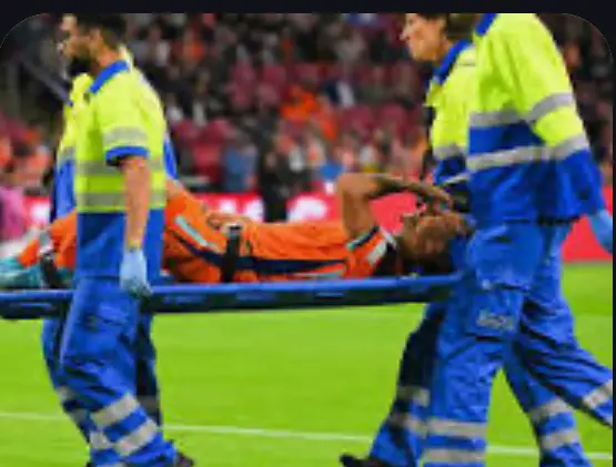 Man City Star Defender Stretchered Off In Netherlands Vs Germany