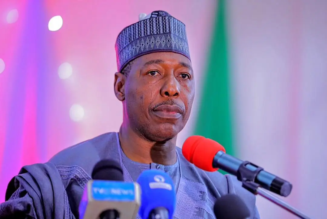 Minimum Wage: Zulum sets up implementation committee [Full list]