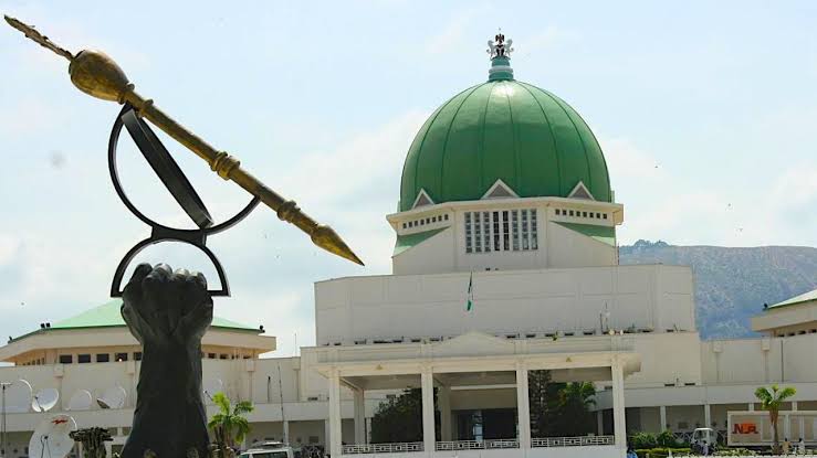 10th NASS: Why Senate Presidency should go to South-East - Imo Senator