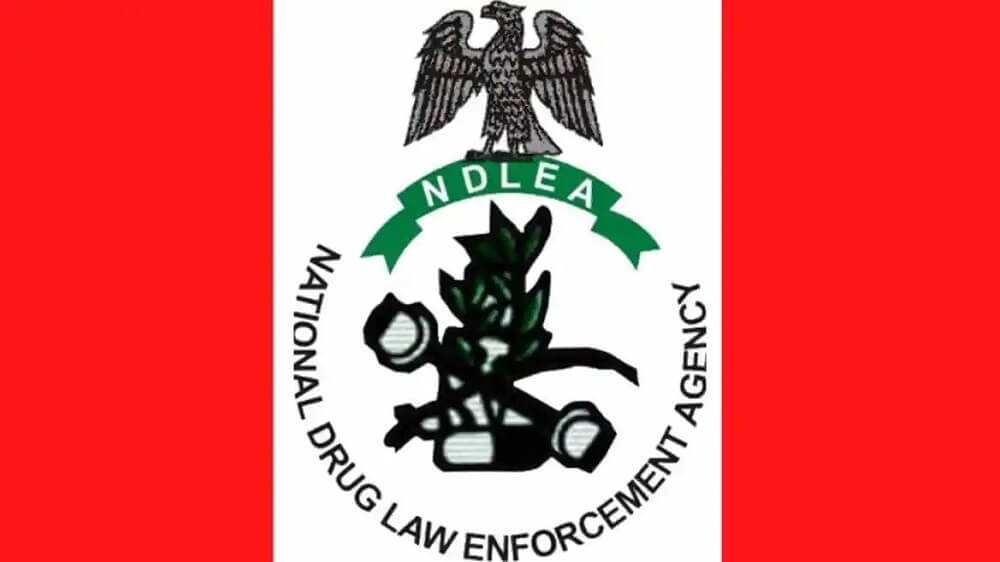 NDLEA Intercepts N17.9bn Worth Of Opioids At Lagos, PH Ports