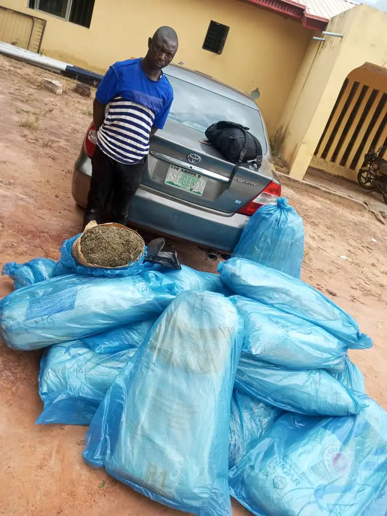 Nasarawa: Police nab suspected drug trafficker, recover vehicle, Indian hemp