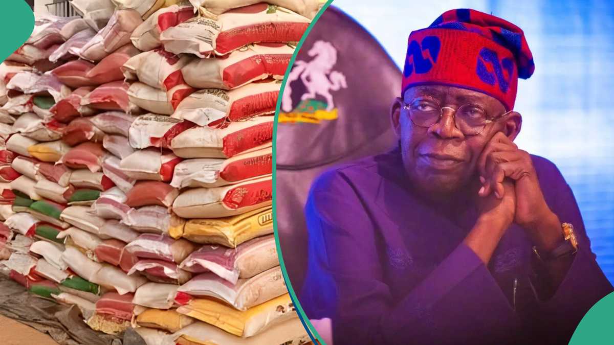 No More N80k: Jubilation As Tinubu Crashes Price of Rice for Nigerian Workers