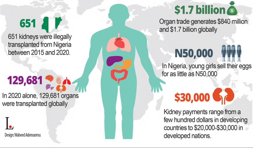 Poverty, Ignorance Boosting Organ Trafficking In Nigeria